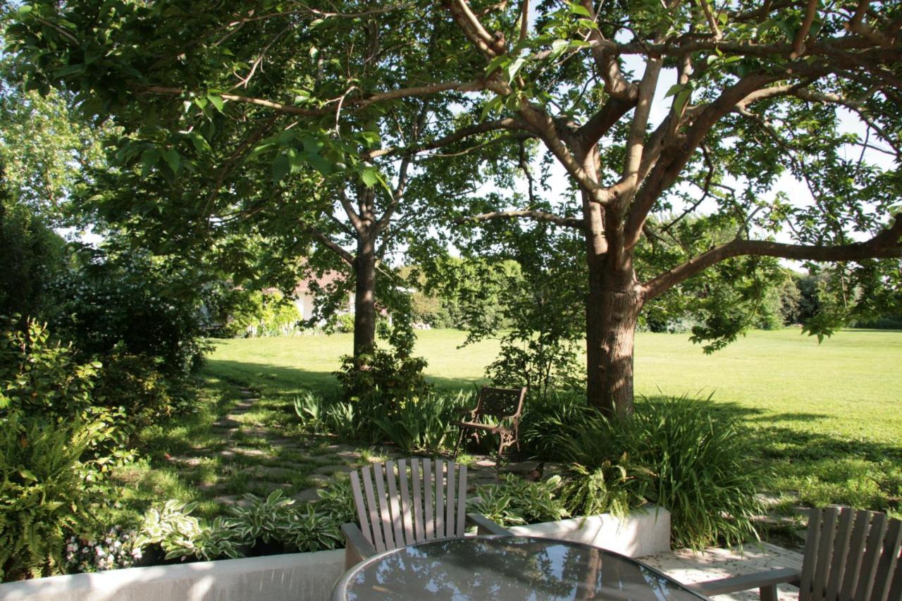 Pietrasanta - Versilia - Villa Arzilla Garden Con Piscina Tonfano Εξωτερικό φωτογραφία