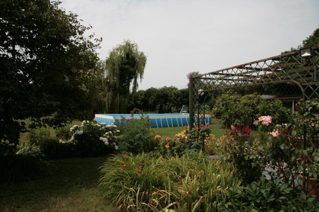 Pietrasanta - Versilia - Villa Arzilla Garden Con Piscina Tonfano Εξωτερικό φωτογραφία