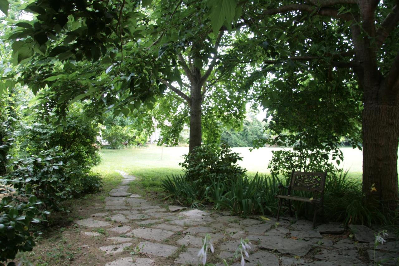 Pietrasanta - Versilia - Villa Arzilla Garden Con Piscina Tonfano Εξωτερικό φωτογραφία