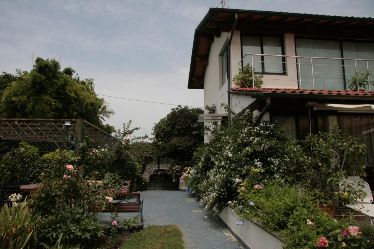 Pietrasanta - Versilia - Villa Arzilla Garden Con Piscina Tonfano Εξωτερικό φωτογραφία