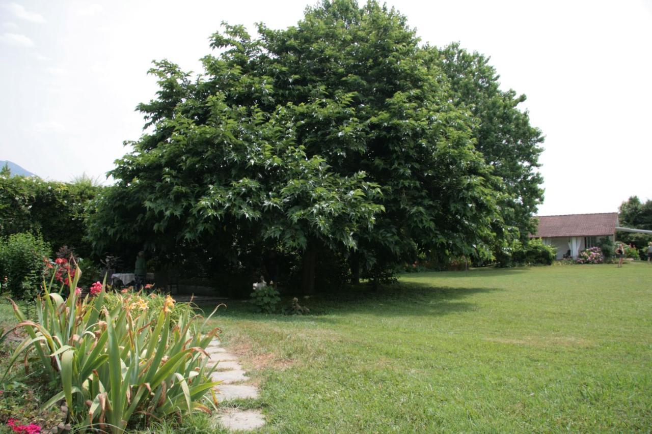 Pietrasanta - Versilia - Villa Arzilla Garden Con Piscina Tonfano Εξωτερικό φωτογραφία